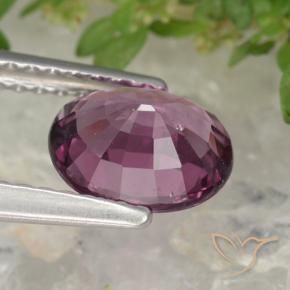 1.38캐럿 천연 미디엄 다크 퍼플 로돌라이트 가넷, 타원형 컷, 7.5×6.1 mm, VS