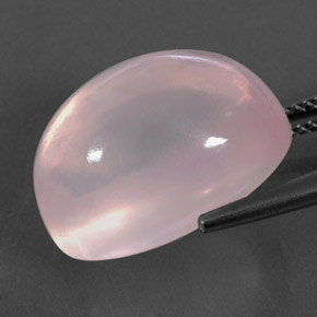 19.79캐럿 천연 핑크 로즈 쿼츠, 투명한, 18×13.1 mm, 투명/반투명