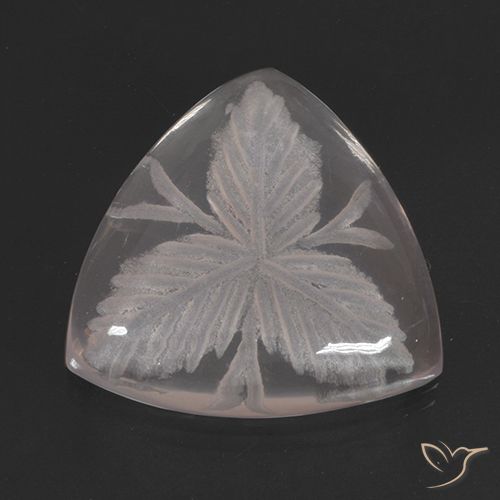 10.38ct 자연스러운 무색 로즈 쿼츠, 일조, 투명한