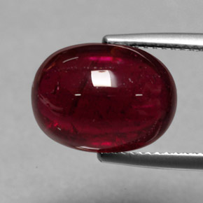 7.59캐럿 천연 핑크 레드 루벨라이트 투르말린, 투명한, 13.5×10.2 mm, 투명/반투명