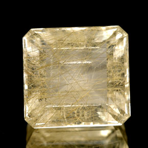 8.70캐럿 천연 무색 골든 루틸 쿼츠, 투명한, 13×12.2 mm, 투명/반투명