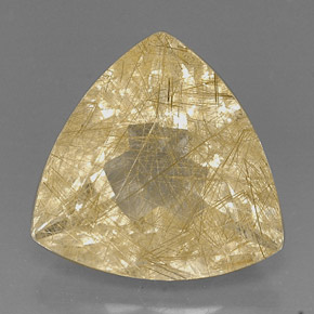 18.96캐럿 천연 무색 골든 루틸 쿼츠, 투명한, 19×18.8 mm, 투명/반투명
