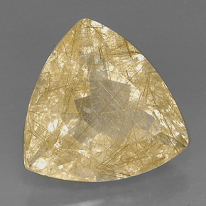 18.96캐럿 천연 무색 골든 루틸 쿼츠, 투명한, 19×18.8 mm, 투명/반투명