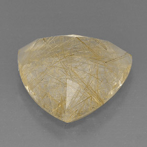18.96캐럿 천연 무색 골든 루틸 쿼츠, 투명한, 19×18.8 mm, 투명/반투명