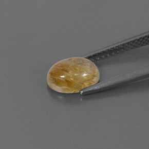 1.48캐럿 천연 무색 골든 루틸 쿼츠, 투명한, 8.3×6.2 mm, 투명/반투명