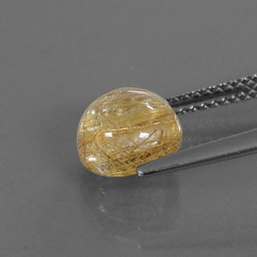 2.25캐럿 천연 무색 골든 루틸 쿼츠, 투명한, 8.06 mm, 투명/반투명
