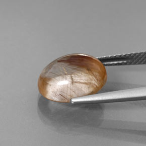 5.22캐럿 천연 무색 골든 루틸 쿼츠, 투명한, 11.9×10.1 mm, 투명/반투명