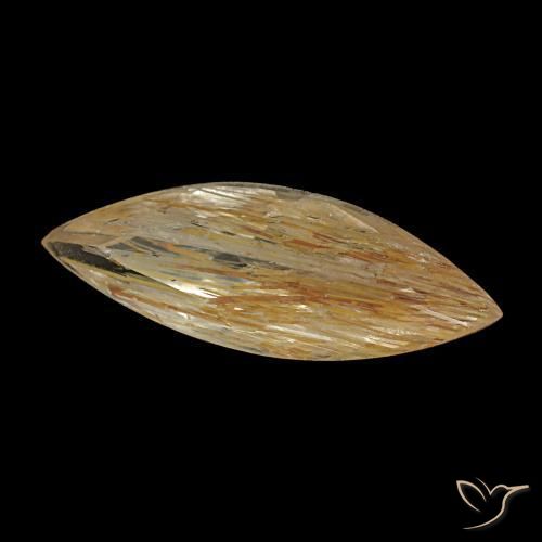 1.45캐럿 천연 미디엄 골든 루틸 토파즈, 마퀴즈, 12.9×4.7 mm, 투명한