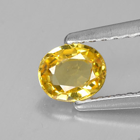 0.46캐럿 천연 골든 옐로우 사파이어, 타원형 컷, 5.1×4.3 mm, VVS-VS