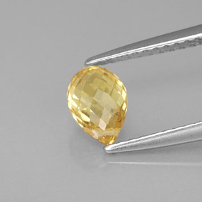 1.22캐럿 천연 골든 옐로우 사파이어, 브리올레트, 6.9×4.8 mm, VS