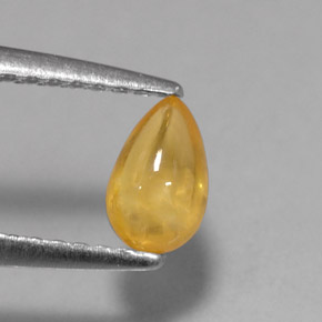 0.59캐럿 천연 골든 옐로우 사파이어, 투명한, 6.1×3.9 mm, 투명/반투명