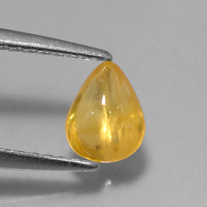 0.79캐럿 천연 골든 옐로우 사파이어, 투명한, 6.3×5 mm, 투명/반투명