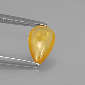0.92캐럿 천연 골든 옐로우 사파이어, 투명한, 8.1×5.2 mm, 투명/반투명