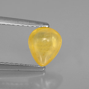 1.22캐럿 천연 골든 옐로우 사파이어, 투명한, 7.1×6 mm, 투명/반투명