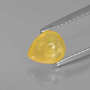 1.22캐럿 천연 골든 옐로우 사파이어, 투명한, 7.1×6 mm, 투명/반투명