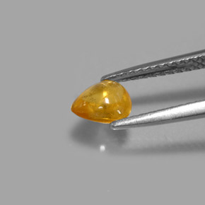 0.80캐럿 천연 골든 옐로우 사파이어, 투명한, 6×5.4 mm, 투명/반투명