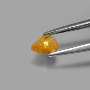 0.75캐럿 천연 골든 옐로우 사파이어, 투명한, 6.2×4.8 mm, 투명/반투명