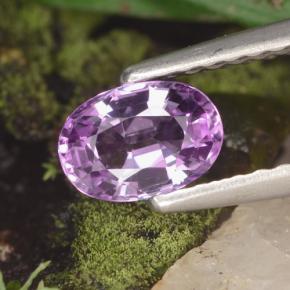 0.60캐럿 천연 핑크빛 퍼플 사파이어, 타원형 컷, 5.9×4.1 mm, VVS-VS