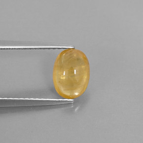 1.74캐럿 천연 골든 옐로우 사파이어, 투명한, 8.1×6 mm, 투명/반투명