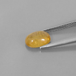 1.74캐럿 천연 골든 옐로우 사파이어, 투명한, 8.1×6 mm, 투명/반투명
