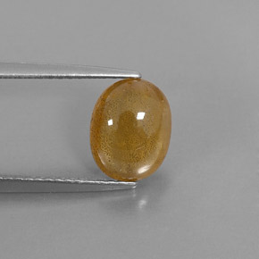 2.72캐럿 천연 골든 옐로우 사파이어, 투명한, 9.1×7.2 mm, 투명/반투명