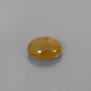 2.72캐럿 천연 골든 옐로우 사파이어, 투명한, 9.1×7.2 mm, 투명/반투명