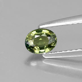 0.51캐럿 천연 노란빛 그린 사파이어, 타원형 컷, 5.2×4.1 mm, VVS-VS