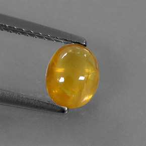 0.97캐럿 천연 골든 옐로우 사파이어, 투명한, 6.5×5.2 mm, 투명/반투명
