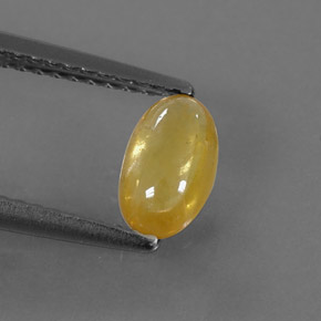 0.85캐럿 천연 골든 옐로우 사파이어, 투명한, 7.4×4.5 mm, 투명/반투명