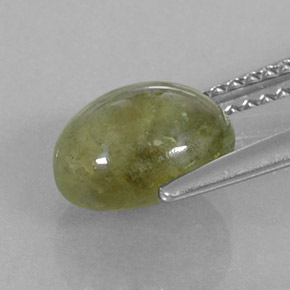 3.17캐럿 천연 노란빛 그린 사파이어, 투명한, 8.7×7 mm, 투명/반투명