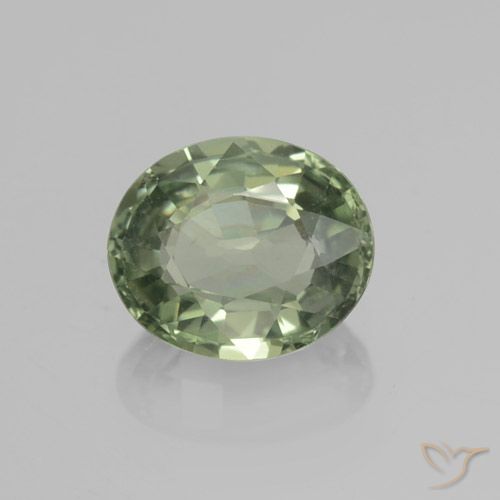 0.83ct 자연스러운 Medium Light Green 사파이어, 타원형, VVS-VS