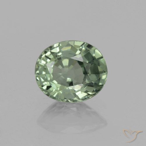 0.75ct 자연스러운 Medium Light Green 사파이어, 타원형, VVS-VS