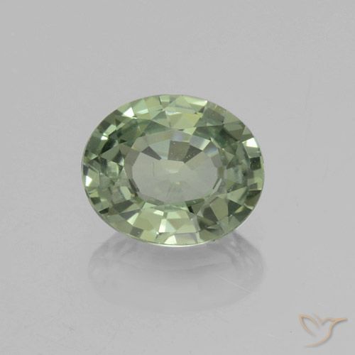 0.72ct 자연스러운 포레스트 그린 사파이어, 타원형, VVS