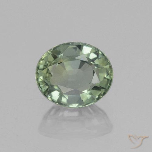 0.92ct 자연스러운 미디엄 라이트 그린 사파이어, 타원형, VVS-VS