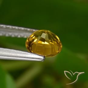 0.68캐럿 천연 다크 골든 사파이어, 둥근, VVS-VS