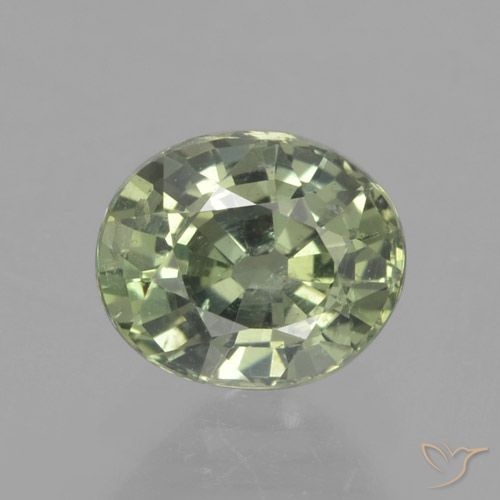 0.91ct 자연스러운 Medium Light Green 사파이어, 타원형, VS