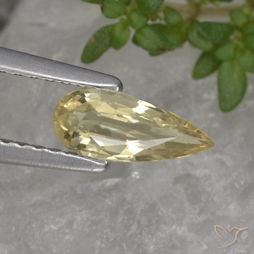 0.61ct 자연스러운 크림 사파이어, 배 모양, VVS-VS