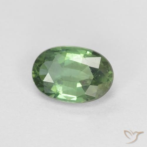 0.53ct 자연스러운 포레스트 그린 사파이어, 타원형, VVS-VS