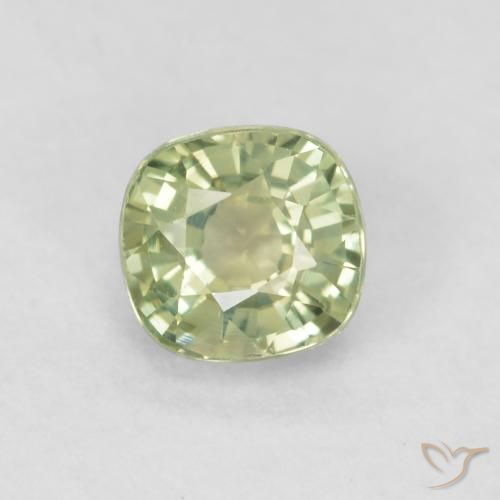 0.57ct 자연스러운 매우 밝은 세이지 그린 사파이어, 방석, VVS-VS