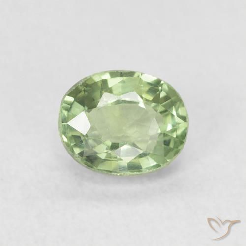 0.63ct 자연스러운 매우 밝은 세이지 그린 사파이어, 타원형, VVS-VS