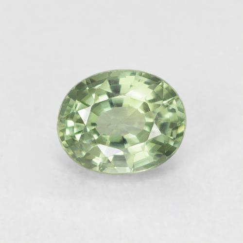0.65ct 자연스러운 매우 밝은 녹색 사파이어, 타원형, VVS-VS