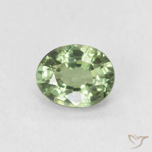 0.55ct 자연스러운 세이지 그린 사파이어, 타원형, VVS-VS