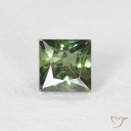 0.24ct 자연스러운 짙은 녹색 사파이어, 정사각형, VS