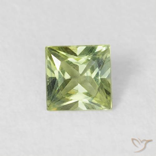 0.23ct 자연스러운 올리브 그린 사파이어, 정사각형, VVS-VS