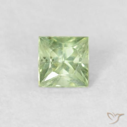 0.18ct 자연스러운 밝은 노란색 녹색 사파이어, 정사각형, VS