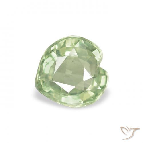 0.65ct 자연스러운 매우 밝은 세이지 그린 사파이어, 마음, VVS-VS