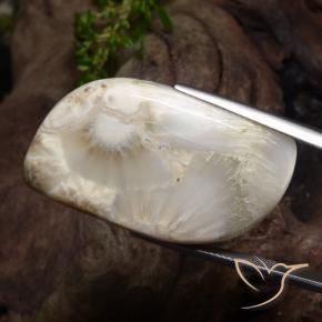 34.11캐럿 천연 화이트 스콜레사이트, 멋진 모양, 36.9×20.3 mm, 불투명체