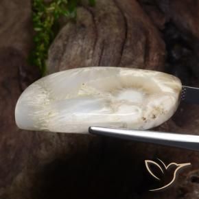 34.11캐럿 천연 화이트 스콜레사이트, 멋진 모양, 36.9×20.3 mm, 불투명체