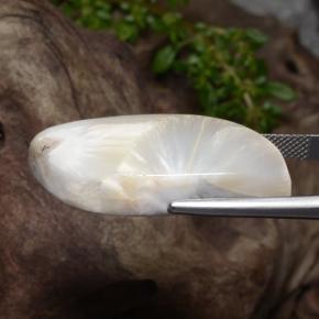 28.06캐럿 천연 화이트 스콜레사이트, 멋진 모양, 불투명체