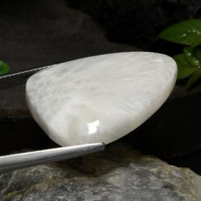 20.10캐럿 천연 화이트 스콜레사이트, 멋진 모양, 28.4×20.5 mm, 불투명체